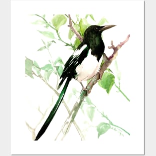 MAGPIE Posters and Art